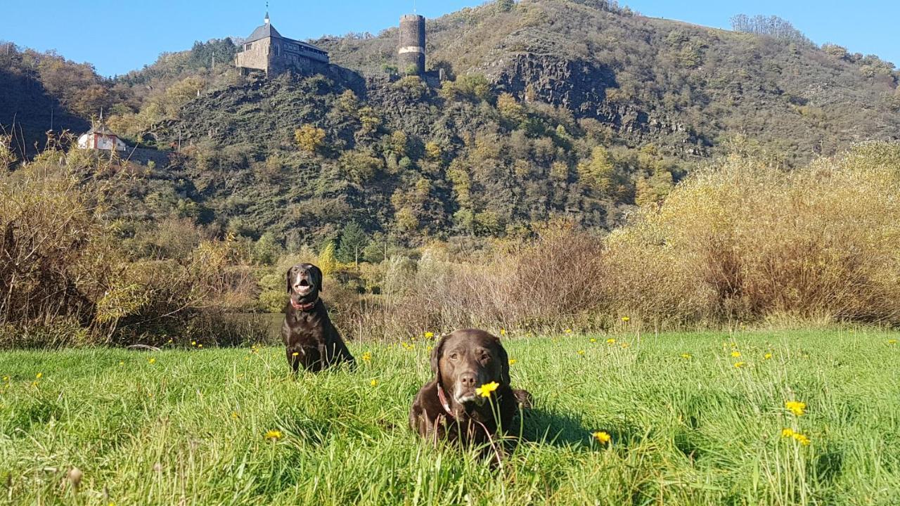 Ferienhaus Leopold Mit Burgblick An Der Mosel Burgen  Bagian luar foto