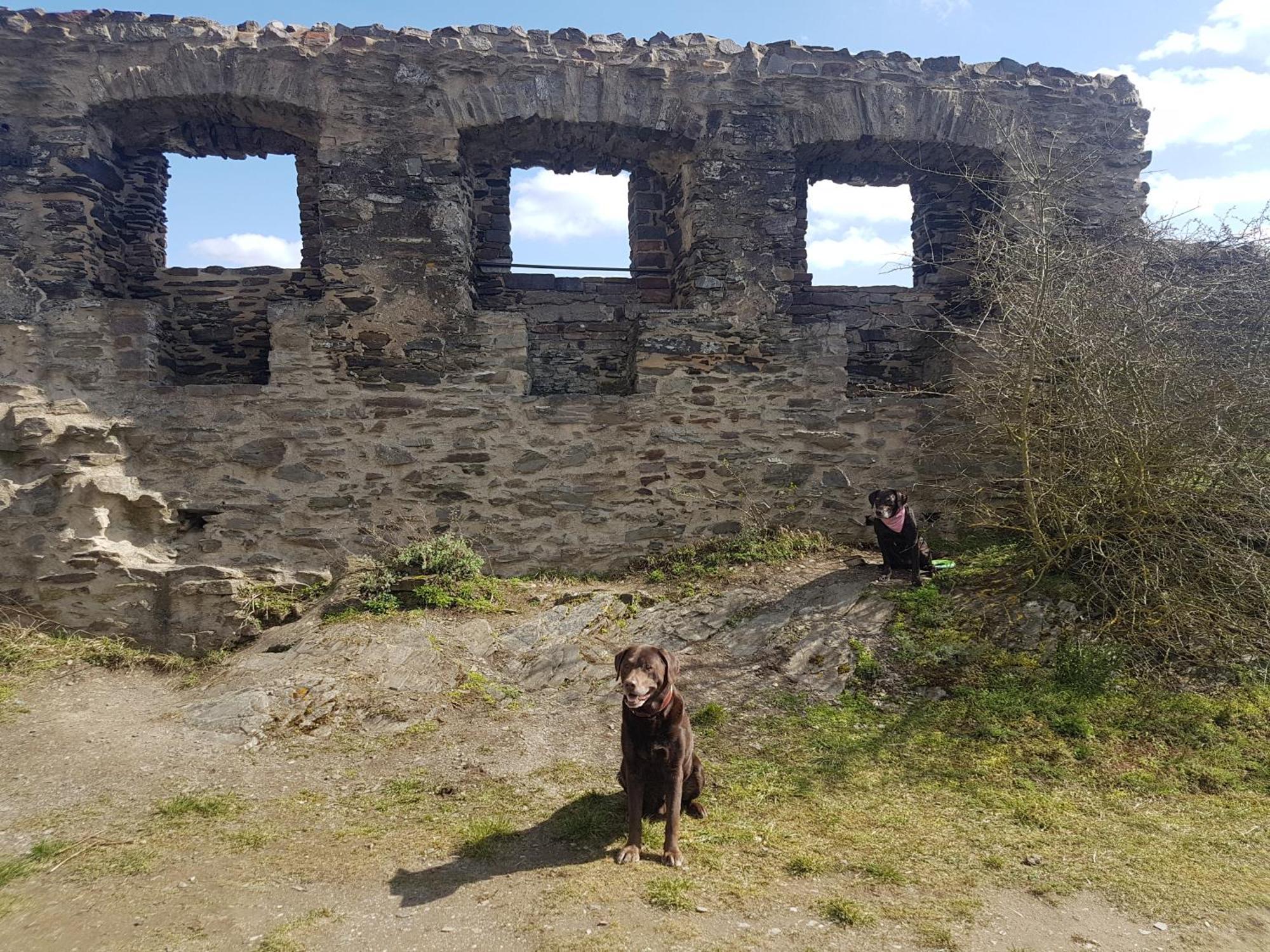 Ferienhaus Leopold Mit Burgblick An Der Mosel Burgen  Bagian luar foto