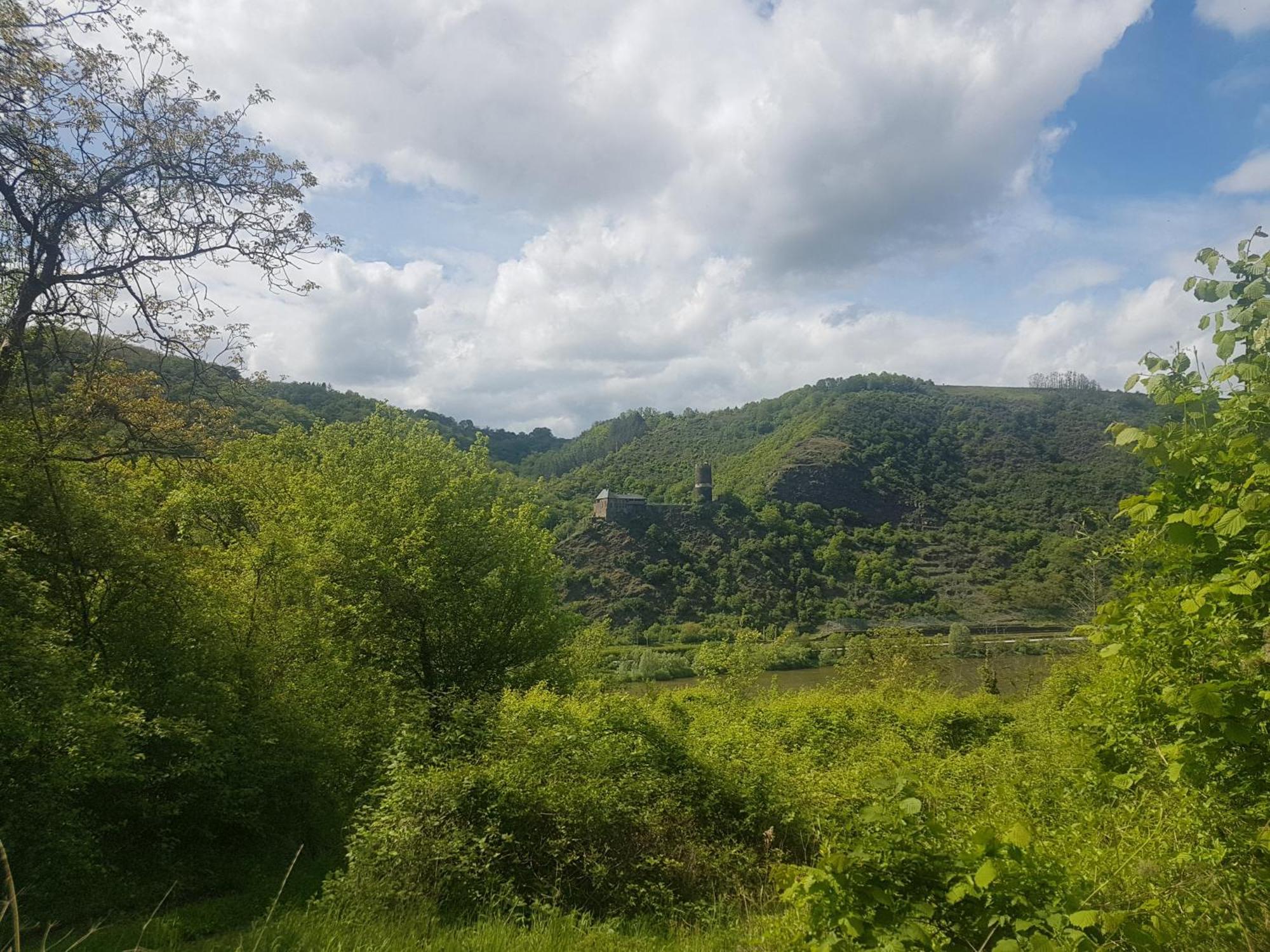 Ferienhaus Leopold Mit Burgblick An Der Mosel Burgen  Bagian luar foto